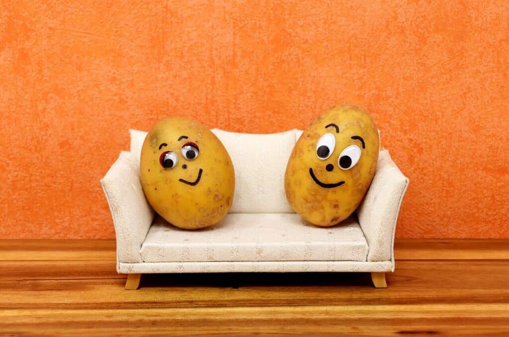 couch potatoes, fun, potatoes, lazing around, sofa, couch, cute, faces, few, together, to sit, funny, potatoes, potatoes, potatoes, potatoes, potatoes, sofa, couch, funny