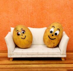 {{brizy_dc_image_alt entityId=