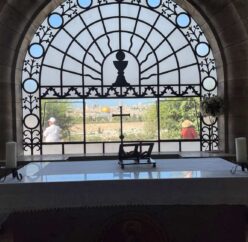 {{brizy_dc_image_alt entityId=