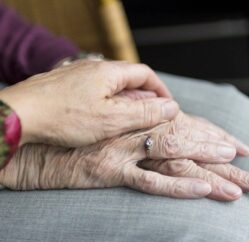 {{brizy_dc_image_alt entityId=