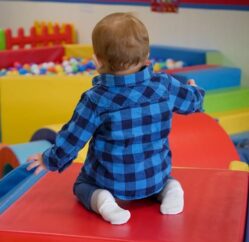 {{brizy_dc_image_alt entityId=